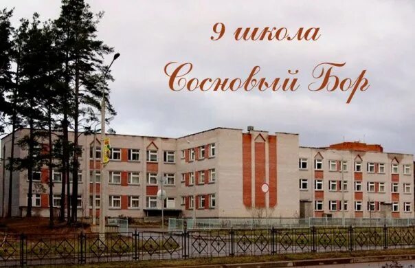 Ленинградская 6 сосновый бор. Школа 9 Сосновый Бор Ленинградская область. 4 Школа Сосновый Бор. Школа 7 Сосновый Бор Ленинградская область. Школа 6 города Сосновый Бор.