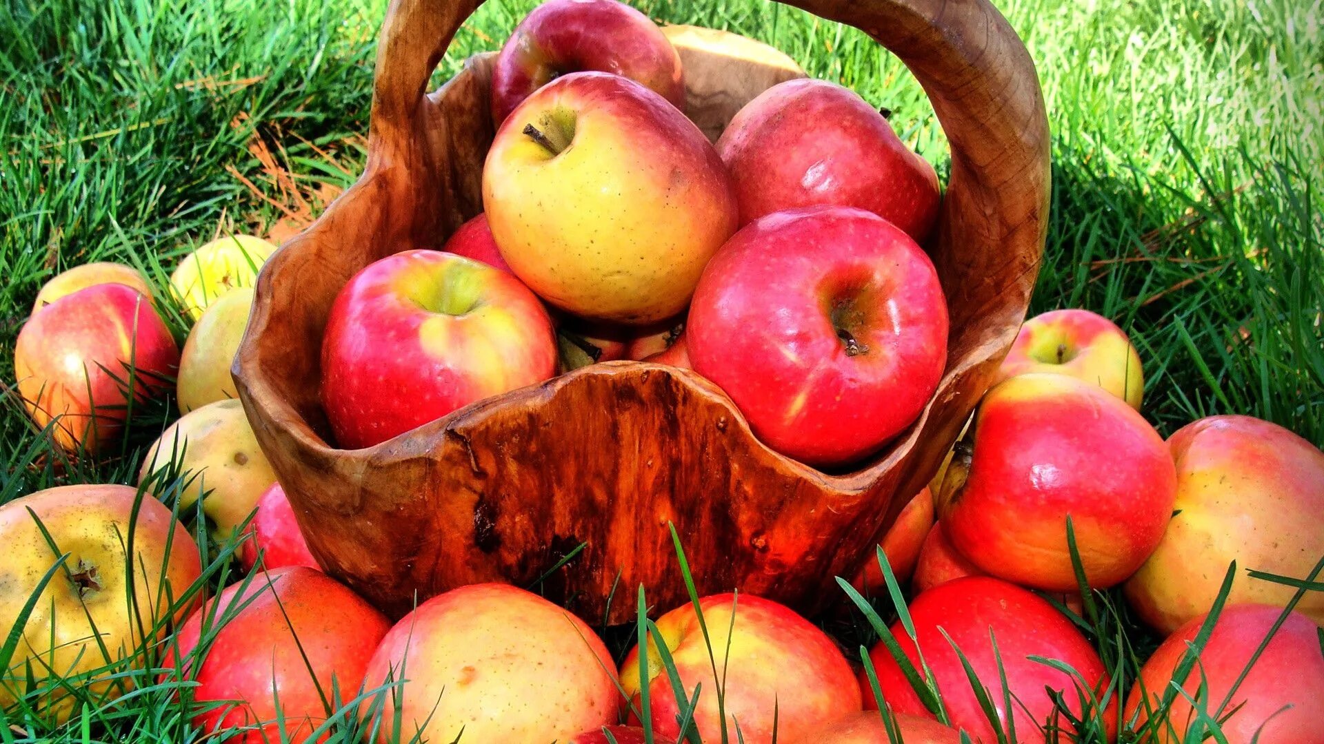 К чему снятся красивые яблоки. Яблоня Услада. Корзинка с яблоками. Корзина с яблоками и грушами. Яблоко на столе.