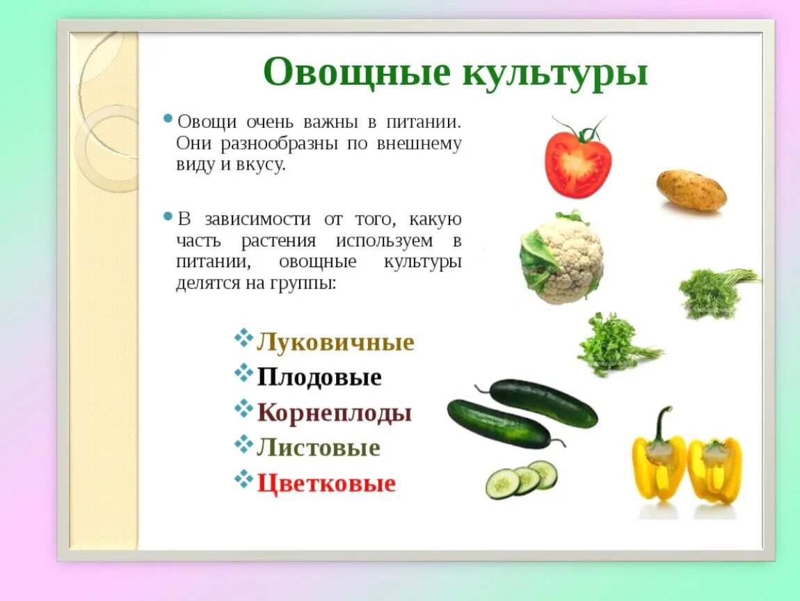 Математика 3 класс овощи. Овощные культуры список 2 класс окружающий мир. Овощные культуры презентация. Овощные культурные растения. Овощные культурныетрастения.