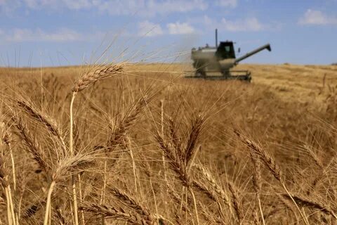 Управление сельского хозяйства республики казахстан