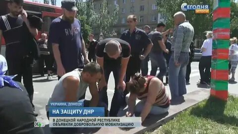 В муравейнике была объявлена всеобщая мобилизация