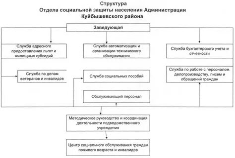 Структура органов социальной защиты схема