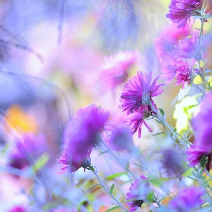 Make this day good. Tuesday цветы. Happy Tuesday. Happy Wednesday цветы. Открытки Happy Tuesday.