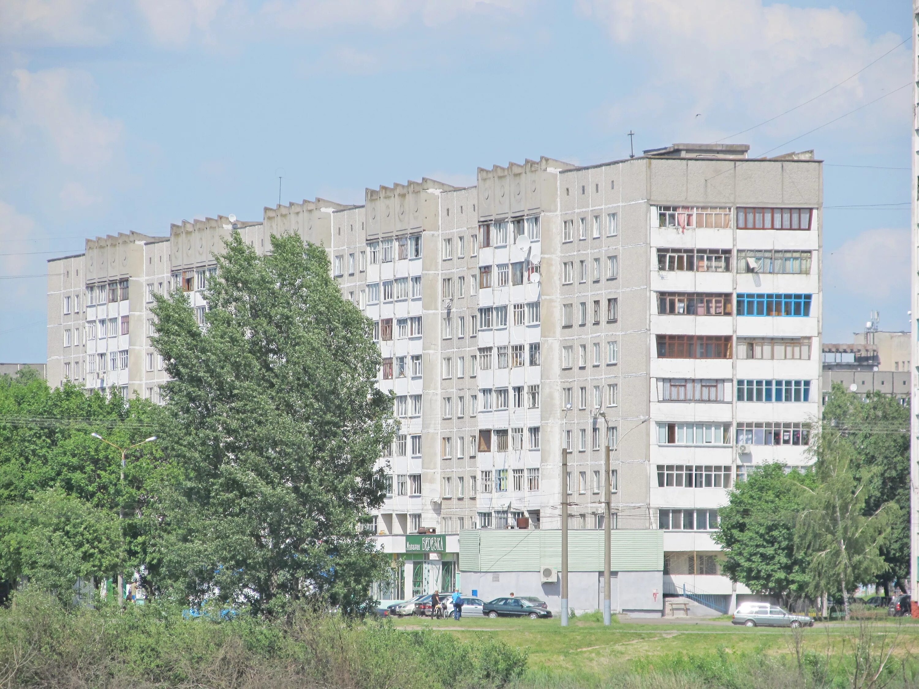 Петруся бровки гомель