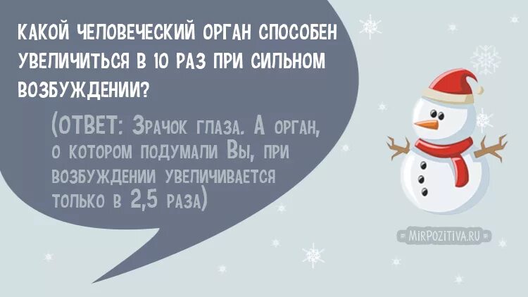 Смешные загадки на новый год. Новогодние загадки для взрослых. новогодние загадки с подвохом. прикольные новогодние загадки для взрослых. новогодние смешные загадки для взрослых.