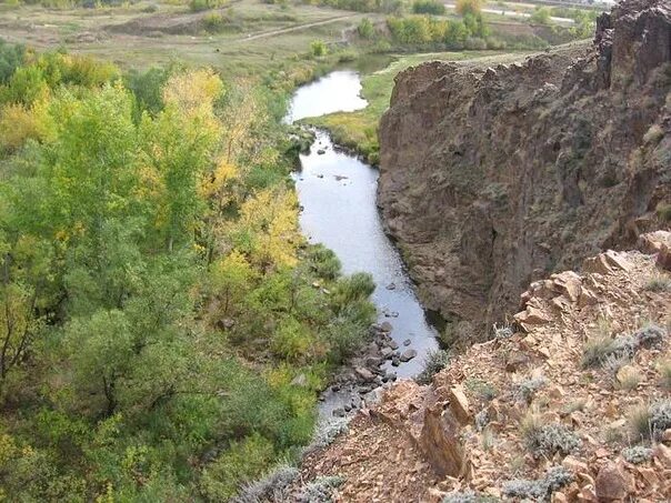 Устьянка локтевский алтайский край. Село Золотуха Алтайский край. Река Золотуха Алтайский край. Горняк Алтайский край река. Золотуха Алтайский край Локтевский.