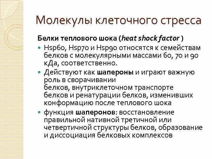 Белки стресса. Hsp60 белок теплового шока. Основная функция стресс-белков. Функции белков теплового шока. Белки стресса биохимия.