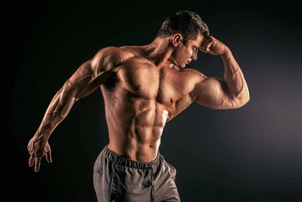 John gioffre. Ryan terry 2021. спортсмены бодибилдинга. Mark dalton muscle. спортсмены бодибилдинга.