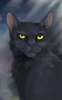 Мир кв