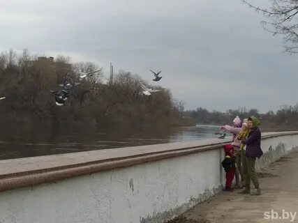 Паводок 2024 беларусь
