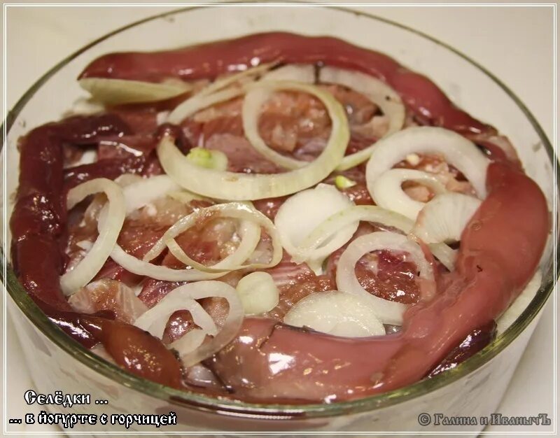 сельдь в горчичном соусе с дижонской горчицей. селедка под шубой с яблоком слои порядок. селёдка в горчичном соусе. селедка с йогуртом. селедка с йогуртом.