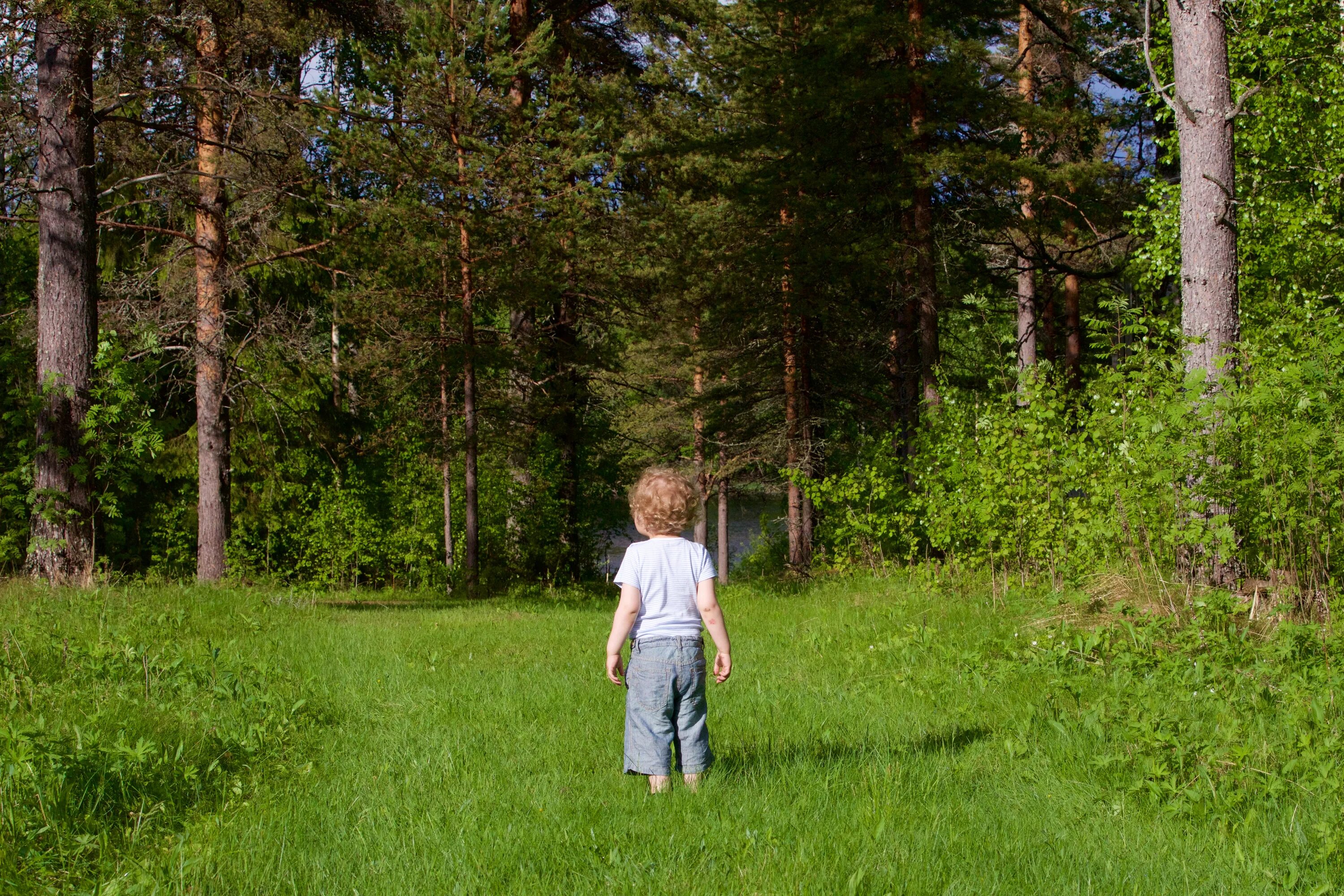 Прогулки по лесу. Прогулка в хвойном лесу. Мальчик заблудился в лесу. Ребенок потерялся в лесу.