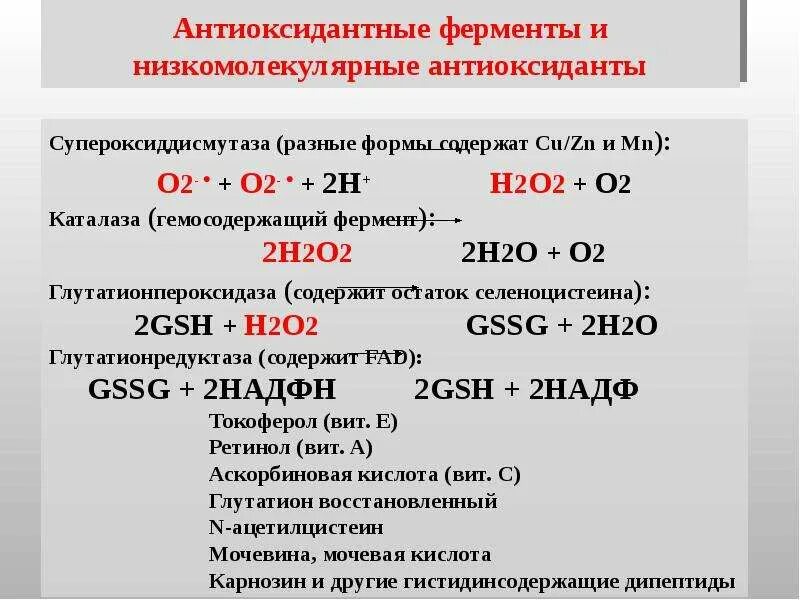 Действие антиоксидантных ферментов. Антиоксиданты биохимия. Схема действия антиоксидантов. Антиоксиданты препараты классификация. Механизмы антиоксидантной защиты микроорганизмов.