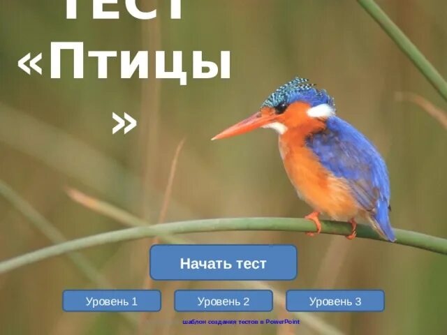 Тест по теме класс птицы ответы. Класс птицы тест. Биология птицы тест. Тест птицы 8 класс. Тест про птиц 8 класс биология.