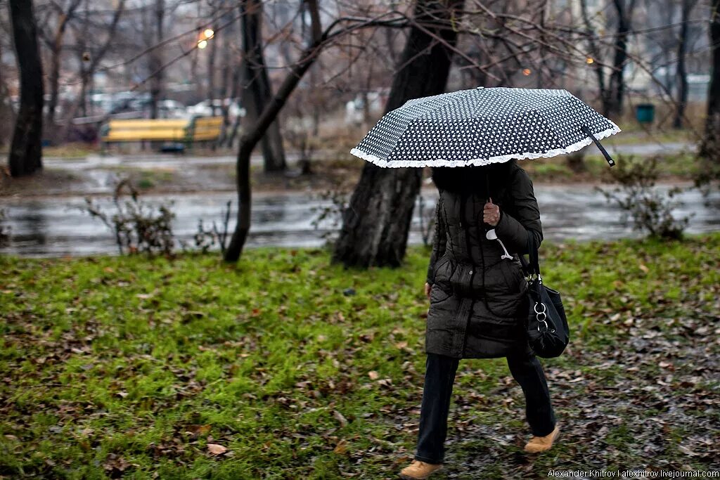 дождливое утро предложение