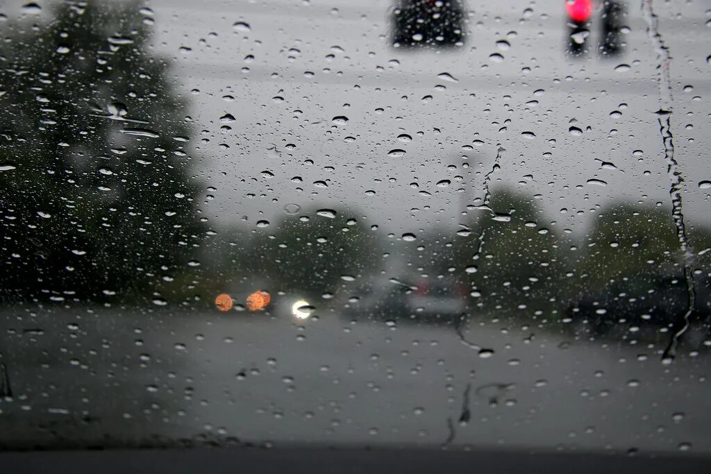 Дожди на дальнем востоке