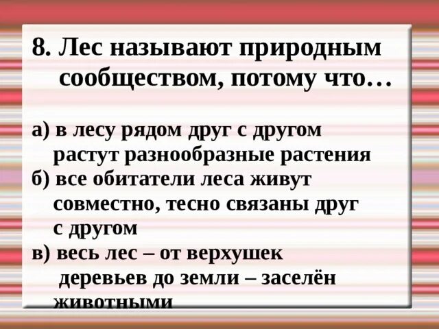 Почему ЛКС называют сообществом. Почему лес называют сообществом. Почему лес называют природным сообществом. Рассказ почему лес называют сообществом