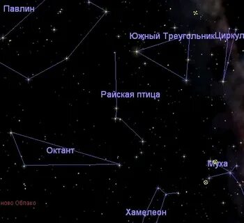Созвездие хамелеон