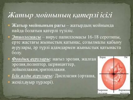 Желідегі оның секс видеосына не істеді