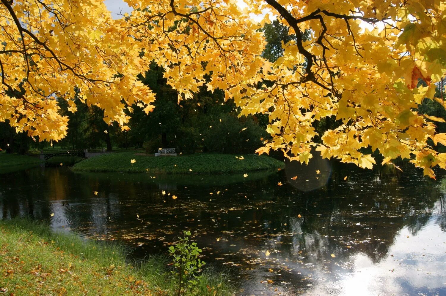 Золотая осень. Осенняя пора листопада. Осень листопад. Осень в парке. Осенняя пора листопада.