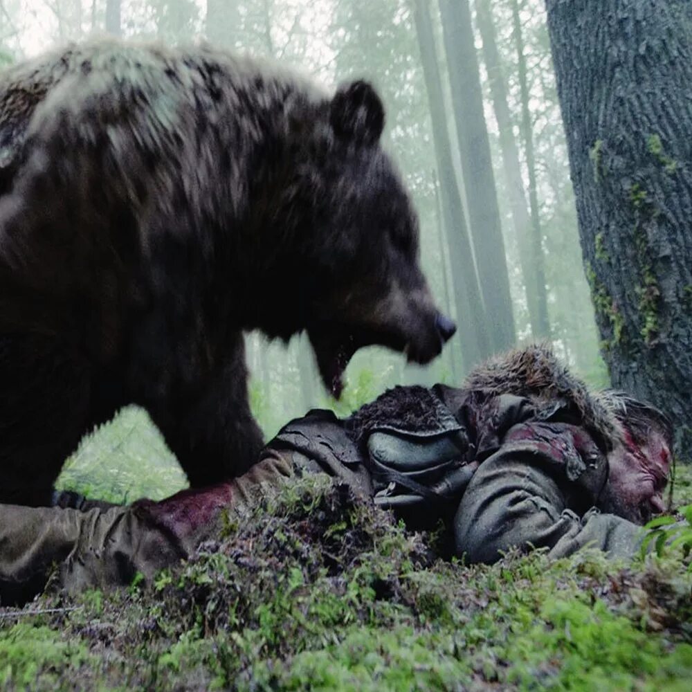Опасны ли медведи. Медведь людоед Кесагаке. Медведь нападнападает.
