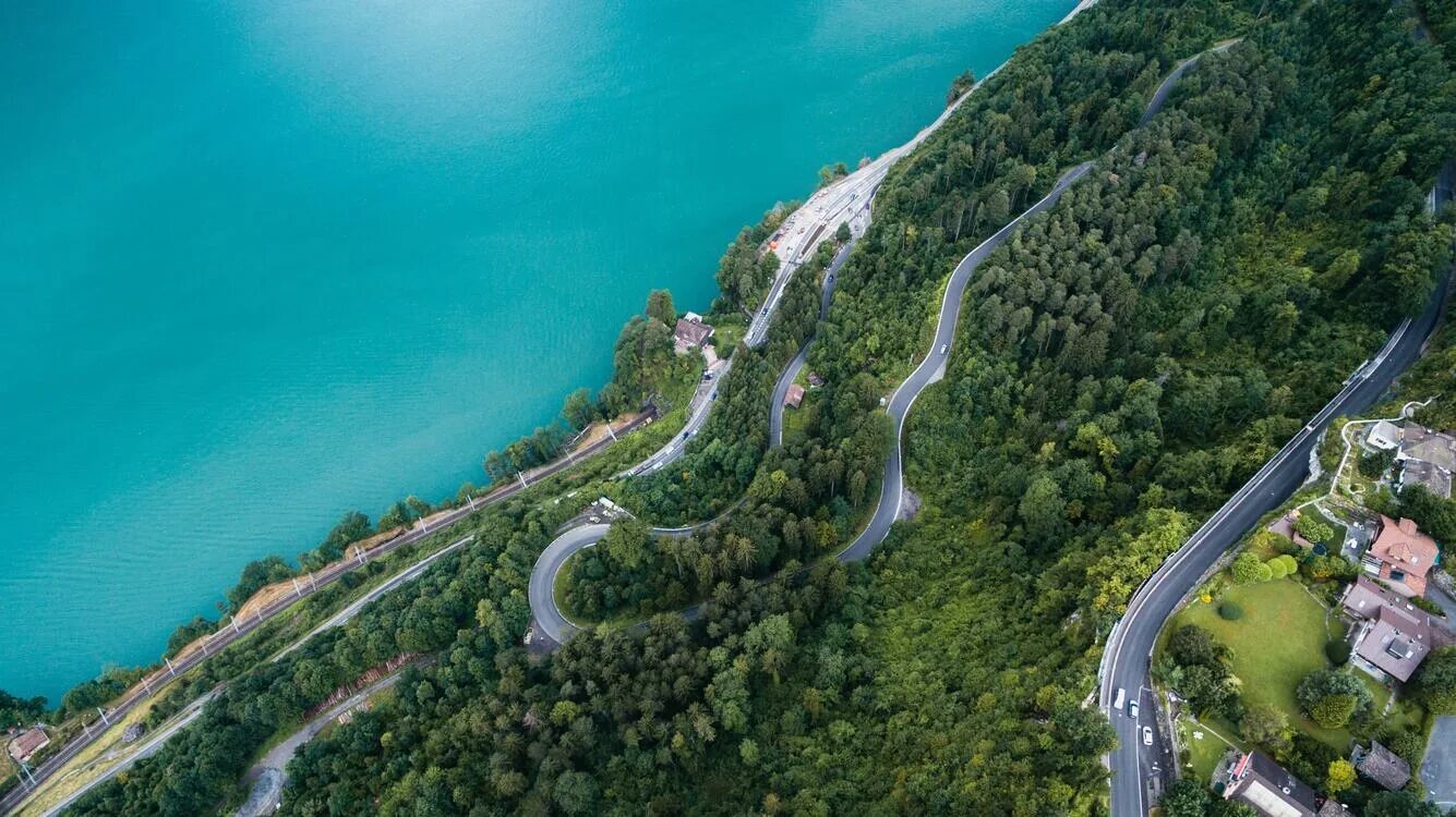 Bird s eye view