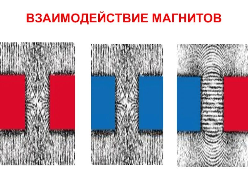 Два разных полюса