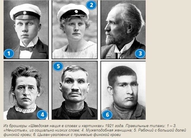 Цвет глаз арийцев