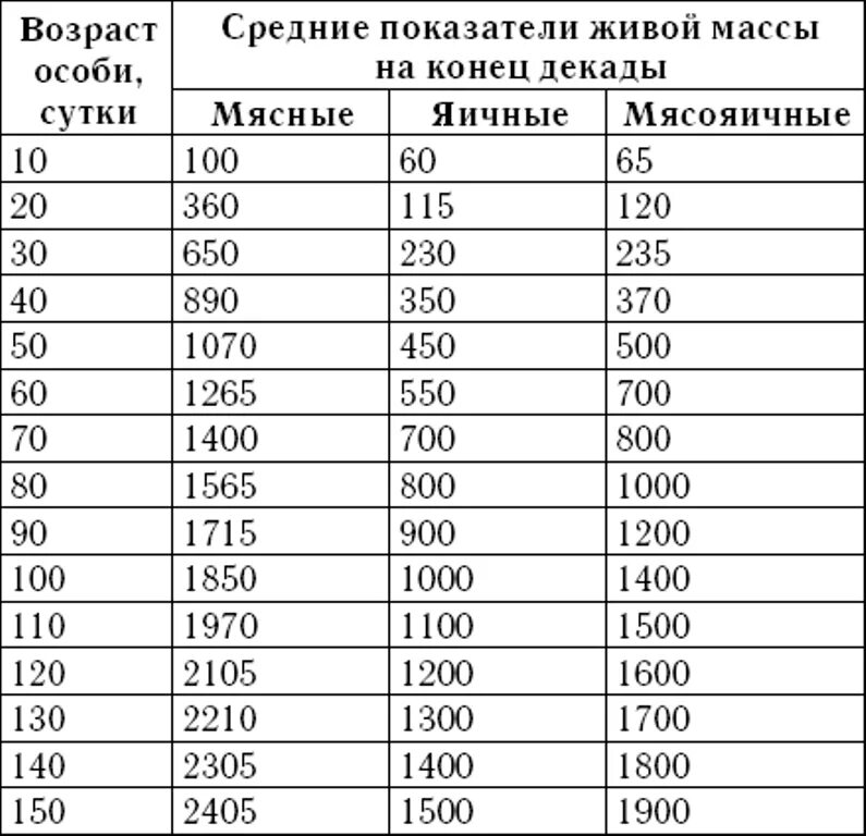 Вес цыплят несушек по дням таблица. Вес цыпленка бройлера в 1 месяц таблица. Вес цыплёнка бройлера таблица. Вес по дням цыплят несушек таблица вес.