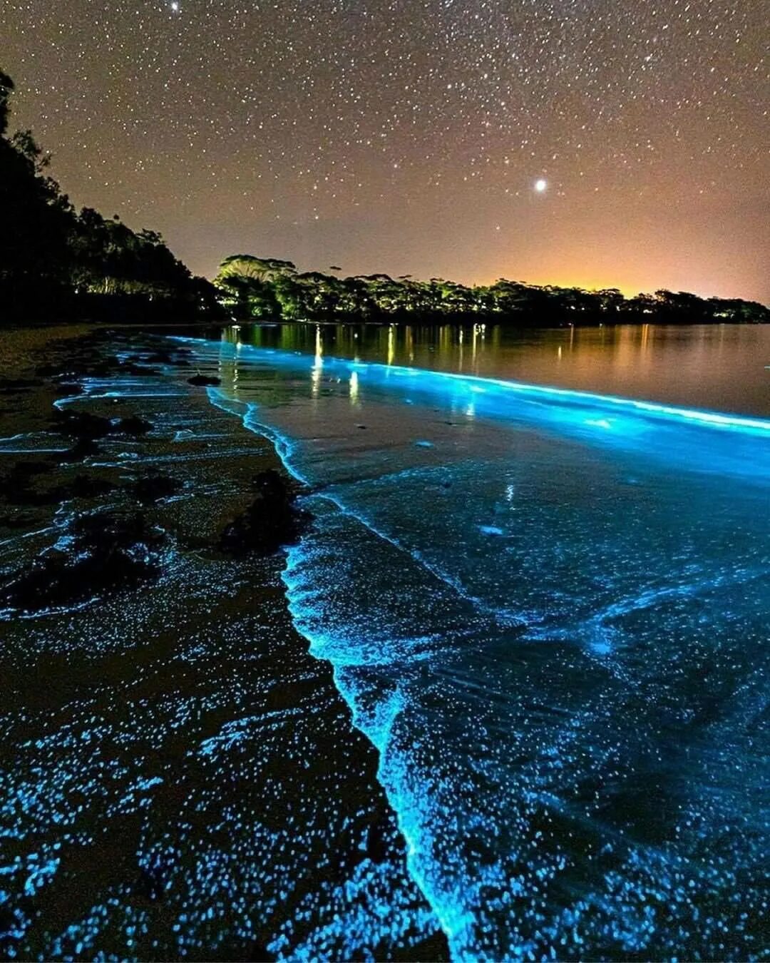 Планктоны в море