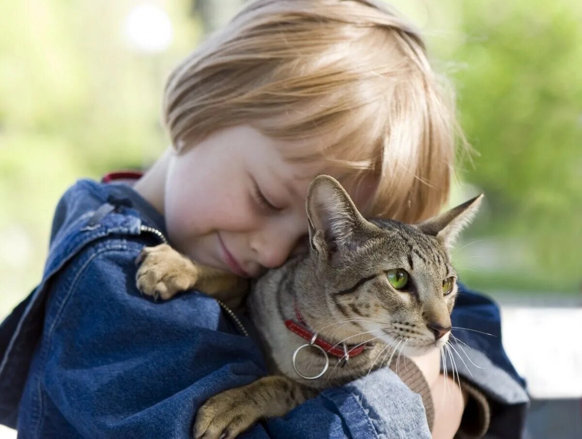 My friends have a cat. Для детей. Животные. Кошка для детей. Дети с животными. Любовь к животным.