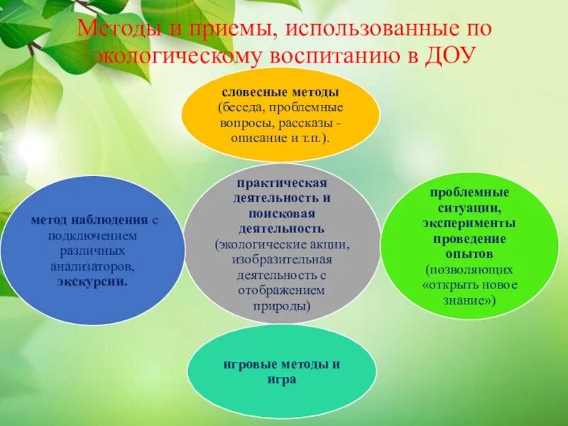 Создание условий для экологического воспитания детей. Экологическое воспитание дошкольников. Экологическое воспитание дошкольников в ДОУ. Методы и приемы экологического воспитания. Методы и приемы экологического воспитания дошкольников.