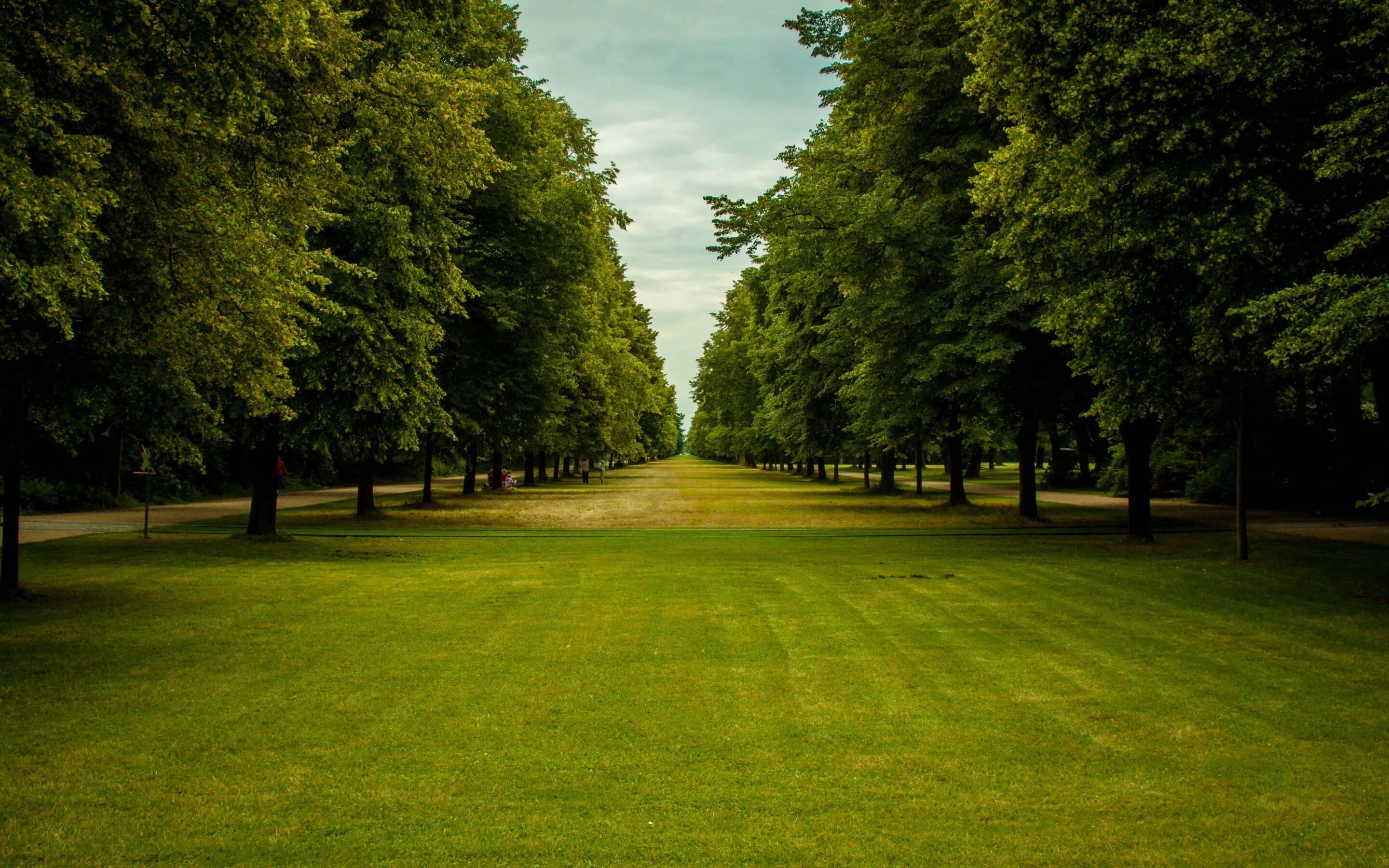 Park. Парк аллея лужайка. Пар. Зеленый парк. Парк деревья.