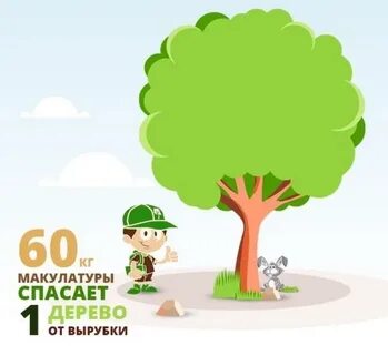 Сколько 1 тонна спасет деревьев