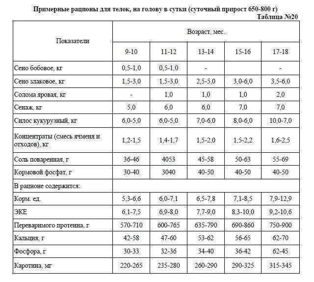 Можно давать телку. Рацион для ремонтного молодняка КРС. Рацион кормления Бычков КРС. Рацион кормления ремонтного молодняка КРС. Нормы кормления молодняка КРС.