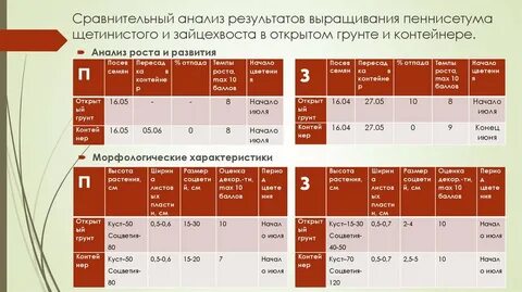 Результаты росли