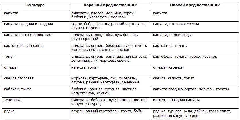 После каких культур можно сажать капусту. Таблица севооборота овощных культур и сидератов. Культуры предшественники овощей таблица. Лучшие предшественники для посадки овощей таблица. После помидор можно сажать огурцы.