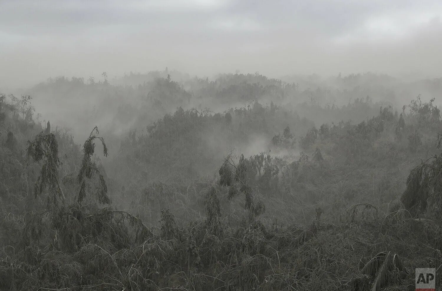 Fog map