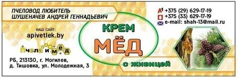 Живица 2 курск