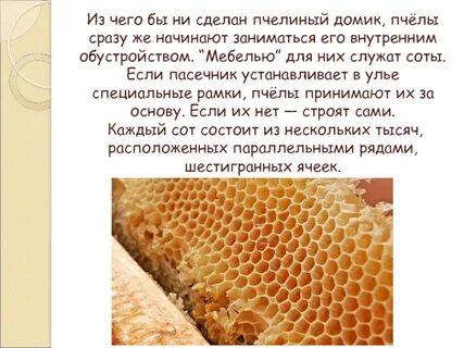 Что она делает пчела