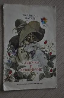 Дудочка и кувшинчик катаев читательский дневник 1