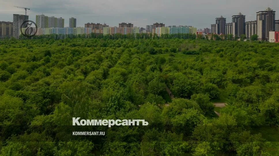 Жк яблоневые сады воронеж. Школа в яблоневом саду воронеж. Яблоневые сады воронеж ул загоровского фото. Яблоневые сады воронеж ул загоровского фото. Яблоневые сады воронеж ул загоровского фото.