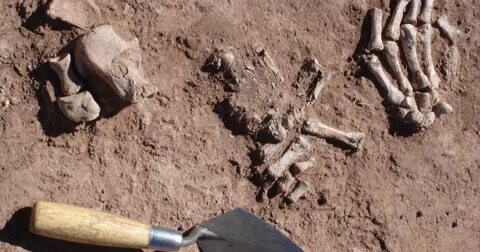 Digging for the bones