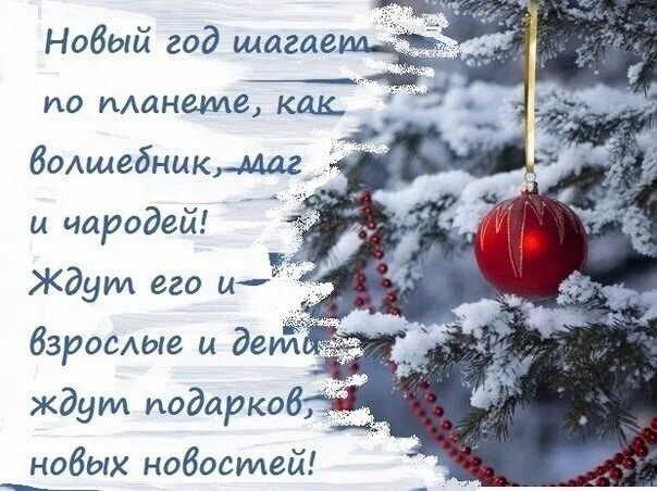 Смешные цитаты про новый год. Статусы 31 декабря. Статусы 31 декабря. Открытки приколы к новому году. Декабрь фразы красивые.