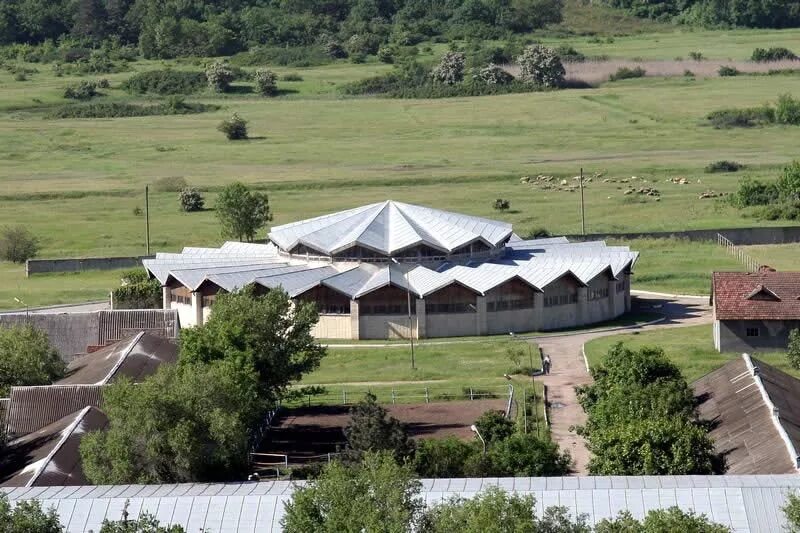 терский ставропольский край. конезавод минеральные воды. терский ставропольский край. село терский буденновский район. посёлок новотерский конный завод.