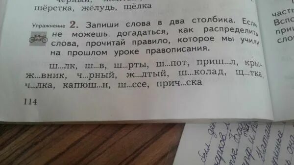Прочитай текст распредели. Прочитай текст распредели