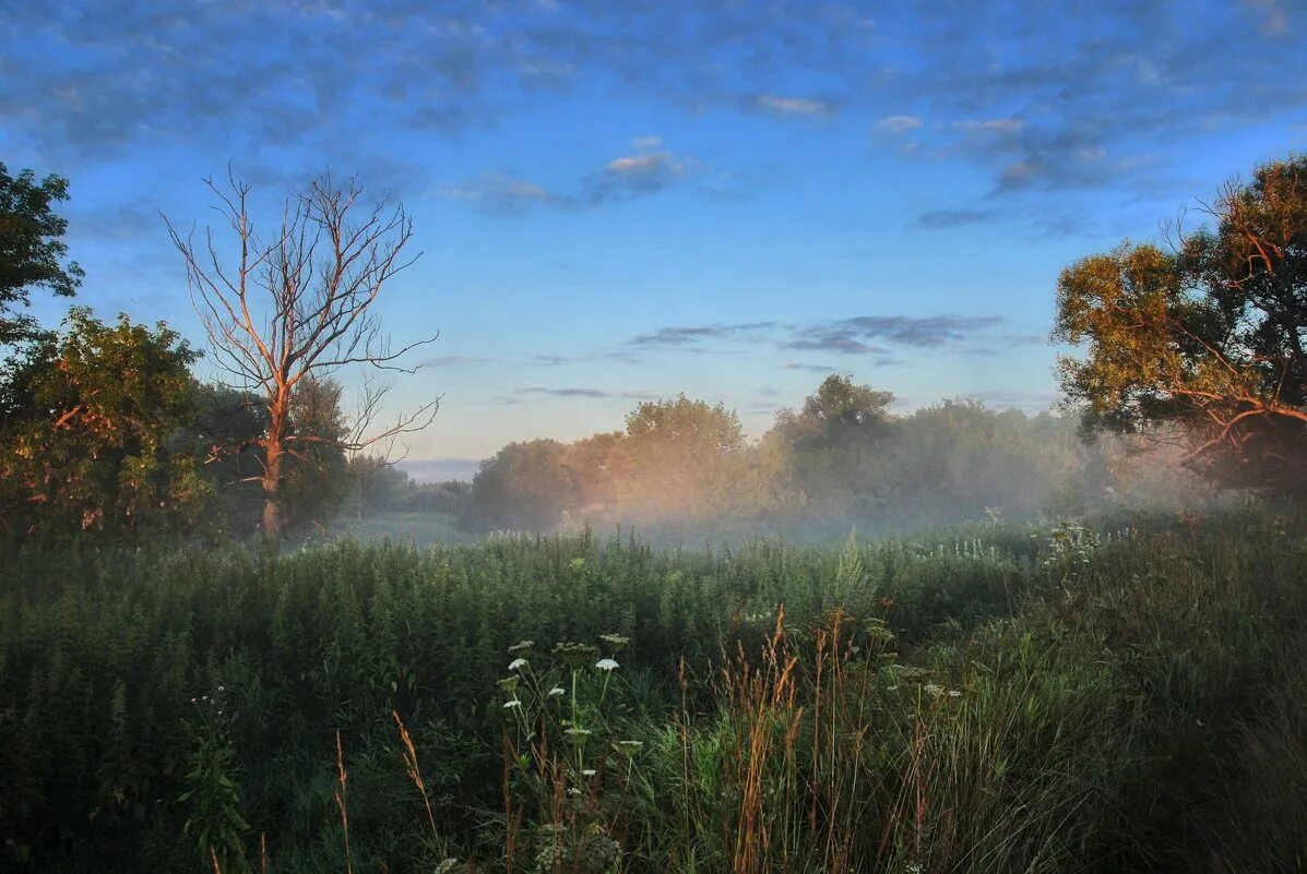 С последним днем июля. Июлья. Июлья. Утренняя красота природы. Утренний пейзаж.