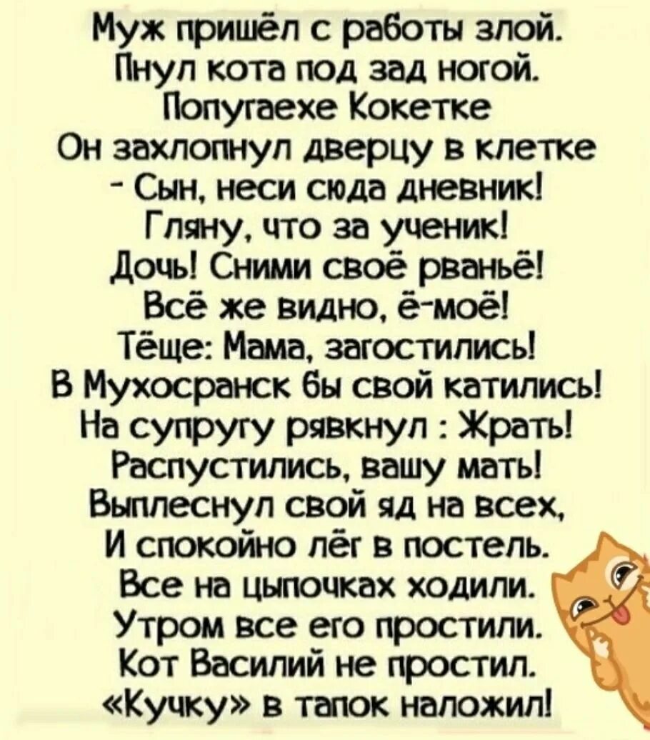 Муж пришел с работы злой пнул кота. Муж пришёл с работы злой. Стих муж пришел с работы злой. Стихи про злого мужа с работы. Муж пришел с работы пораньше