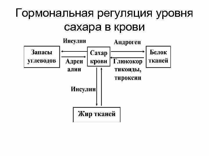 Регуляция уровня Глюкозы в крови схема. Механизмы регуляции уровня Глюкозы в крови. Гормональная регуляция уровня Глюкозы в крови. Гормональная регуляция Глюкозы в крови биохимия.