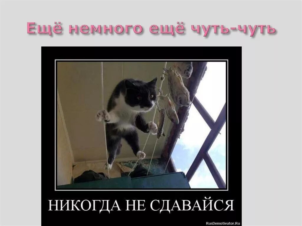 Картинка еще чуть чуть. Ещё немного ещё чуть-чуть. Ещё немножко ещё чуть чуть. Картинка еще немного.